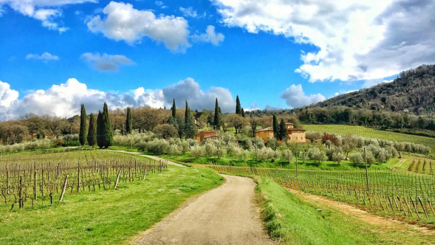 Via dell'Olio, Valdarno Bike Road