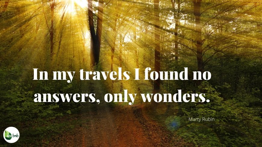 Travelling quotes