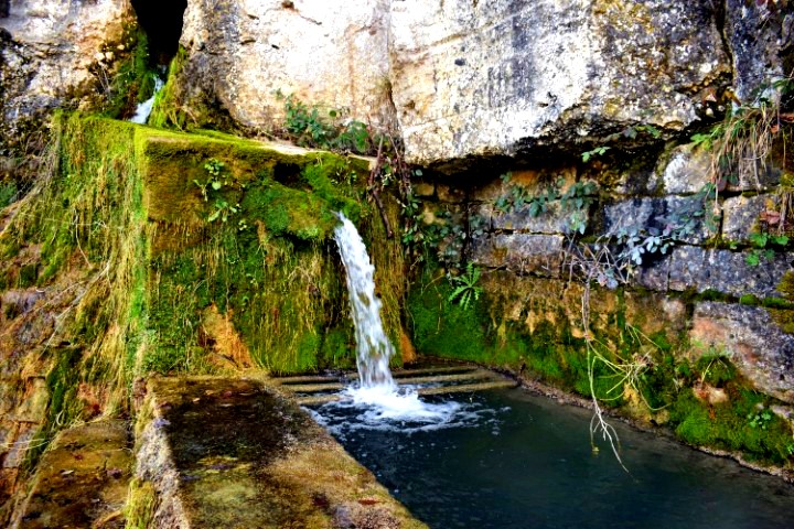 natural water springs in Istria - Waterspring Momjan 