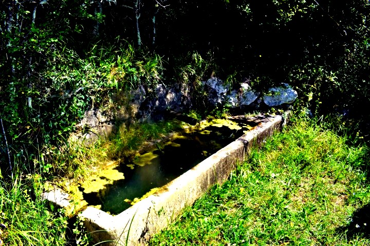 Waterspring Čiritez - natural water springs Istria