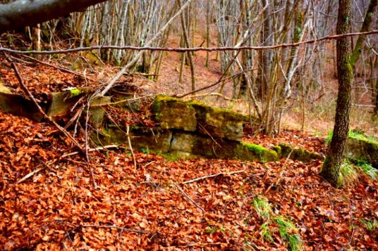 Zahej prehistoric settlment Istria