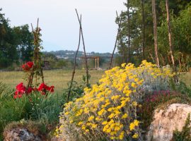 Glamping Freedom Istria
