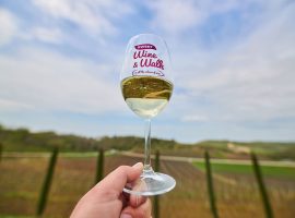 Istria wine and walk