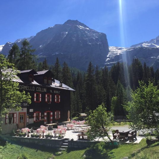 Rifugio Adamello-Collini al Bedole