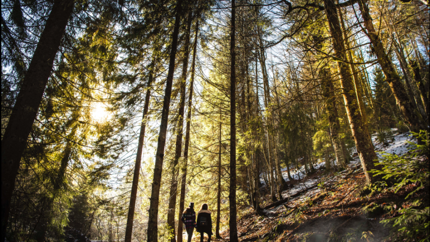 hiking