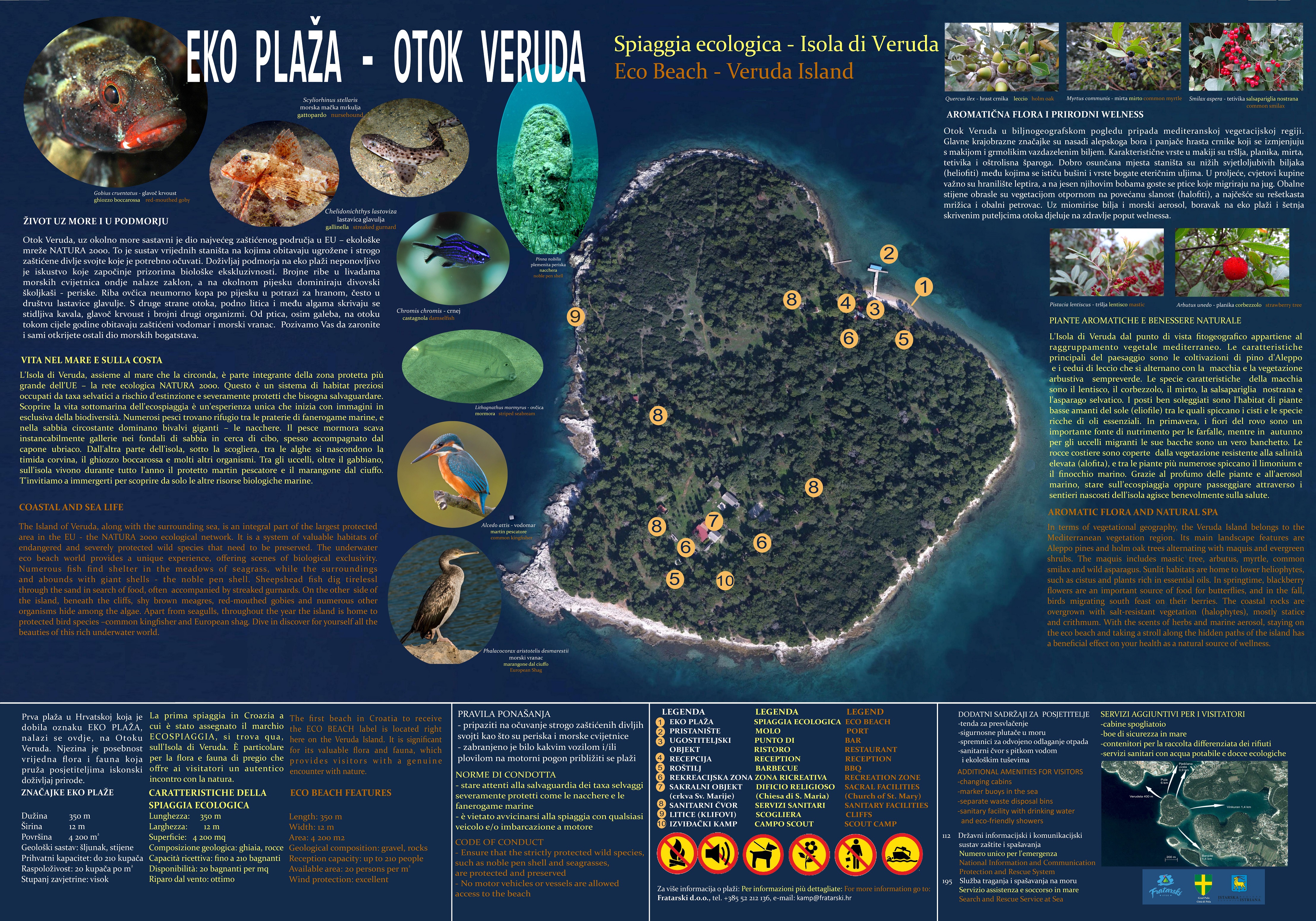 Ecologica beach in Veruda Island, Istria Ecologica beach in Veruda Island, Istria