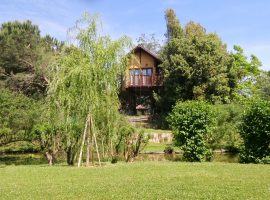 Awen Tree House