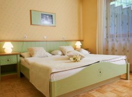 room Eco Thermal Spa Snovik