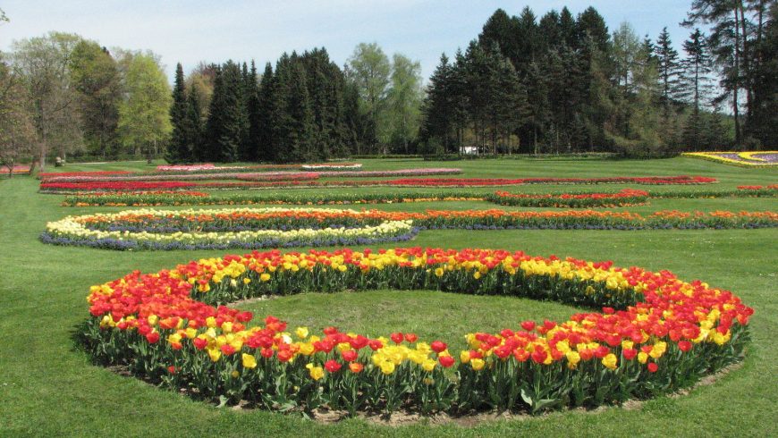 Arboretum Volčji Potok