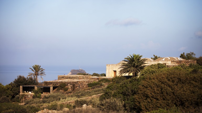 Tenuta Borgia