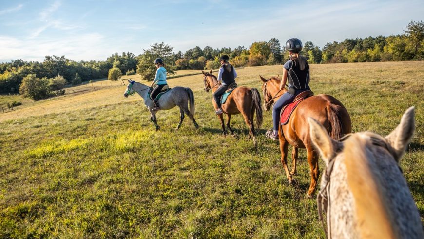 eco-friendly experiences in Istria: horseback riding 