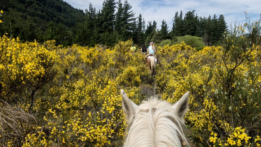 horse back riding during your green vacation