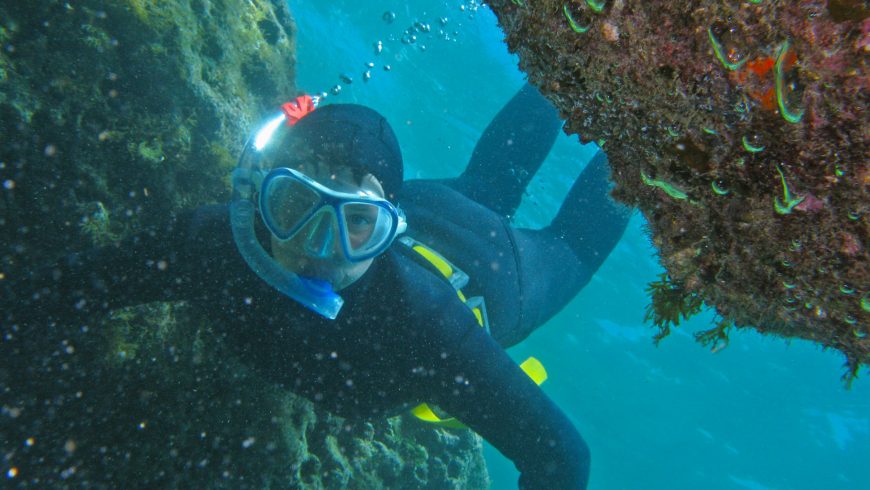 eco-friendly experiences in Istria: educational underwater trail in Brijuni National Park