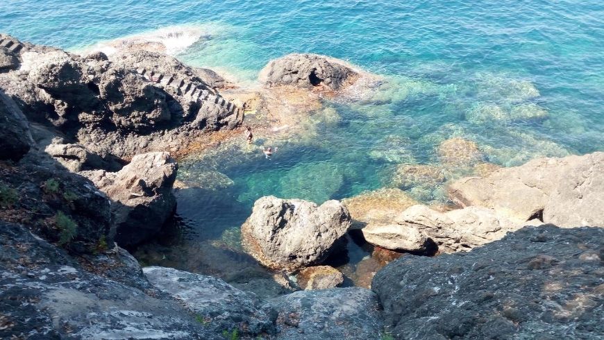 Natural pool