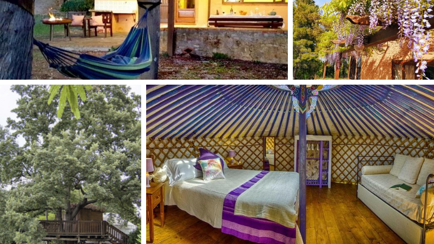 Yurta and tree house