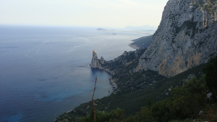 Selvaggio Blu