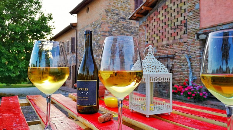 Caecus, wine of the I Tre Monti fam, where stands the Da Foschetta accomodation