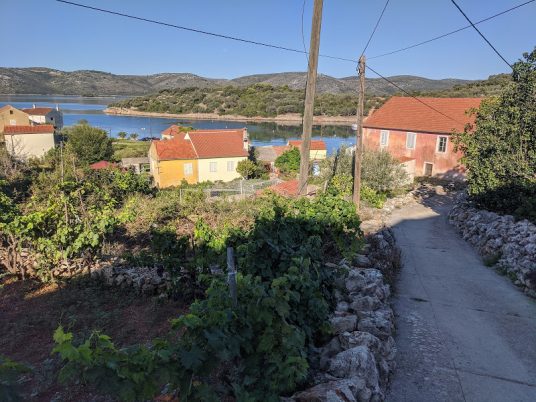 Island Rava