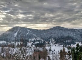 Landscape in Gorski Kotar region