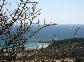 Panoramic view of Asinara