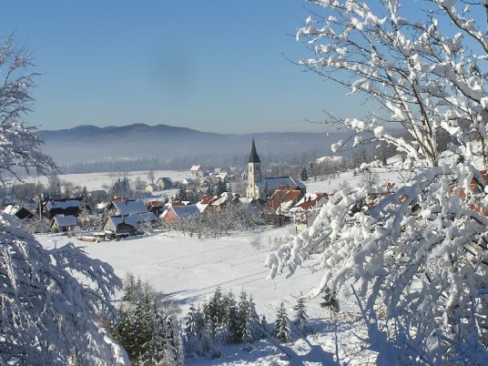 Town of Ravna Gora seen from afar.