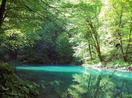 Kupa river in Gorski Kotar, near Divjake Log Home