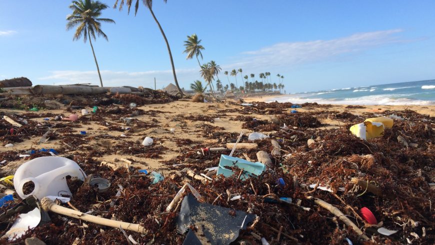 One of the thousends of plastic contaminated beaches on the world,