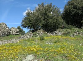 the ruins of castello della brina