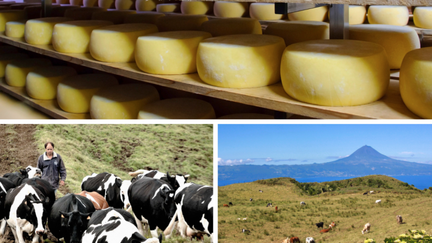 Sao Jorge Cheese