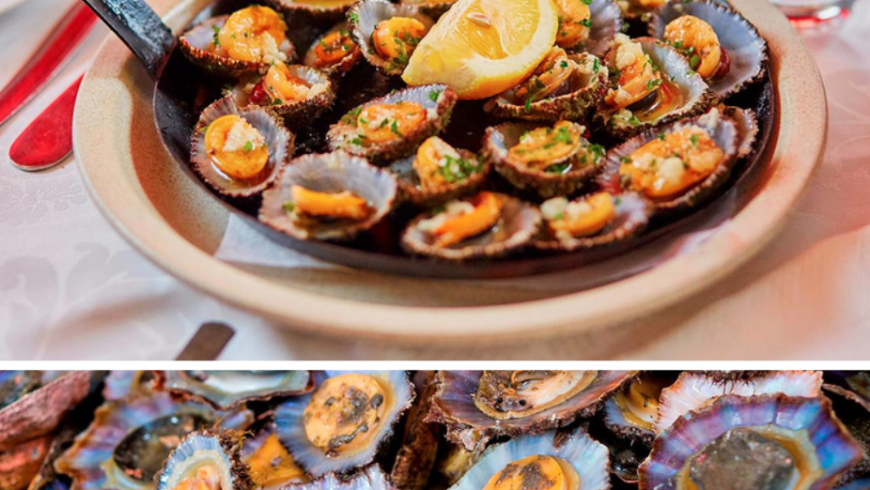Lapas. Local Seafood Azores. Photo by azoreslovers.com, byaçores.com