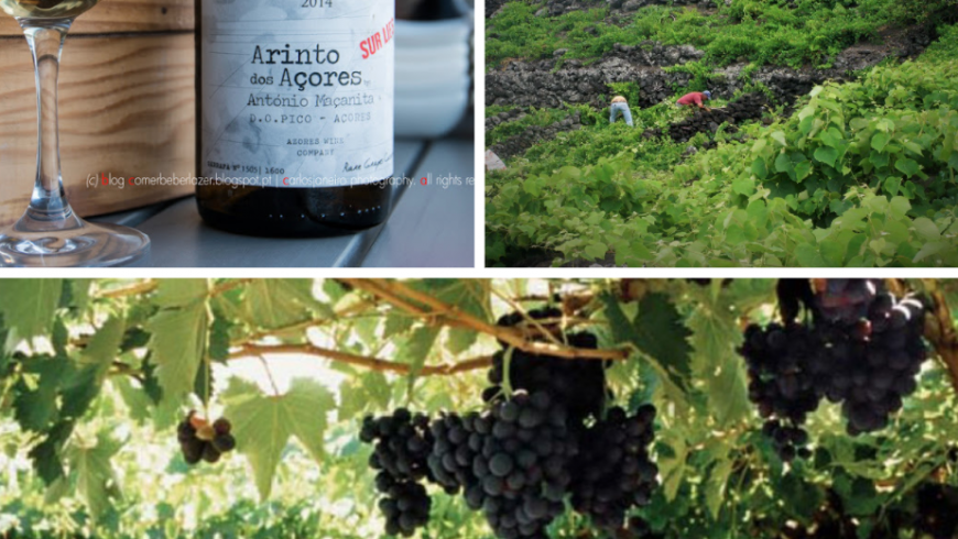 Arinto dos Açores. Local food Azores