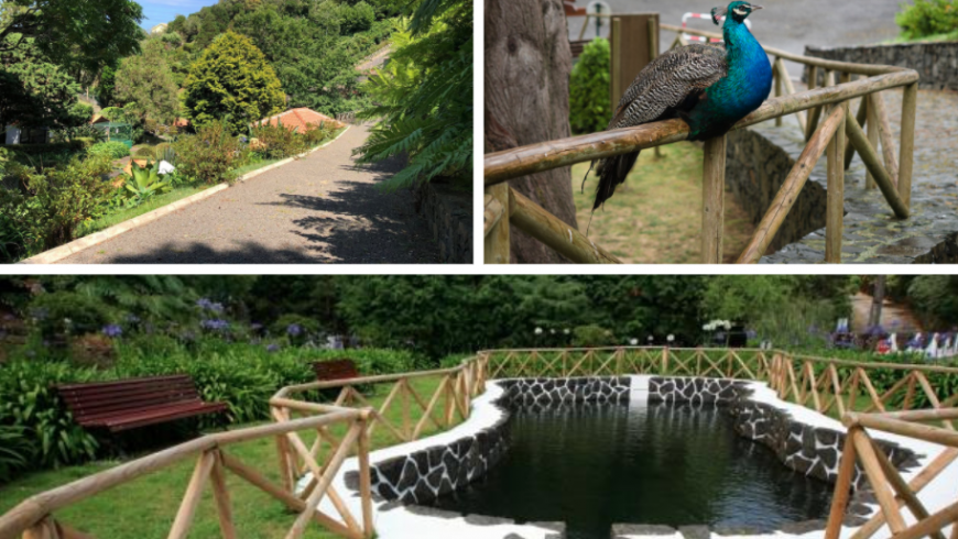 Luis Paulo Camacho. Natural Park. Photos by visitazores.com, tripadvisor.com