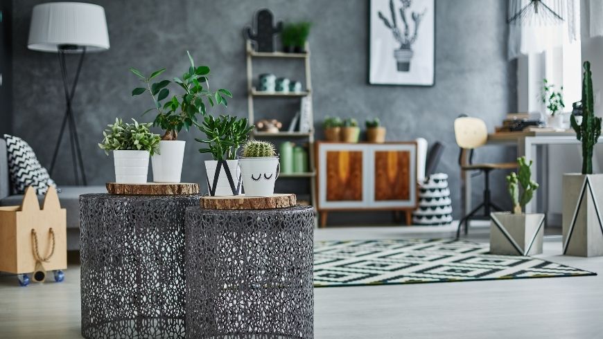 plants and other decorating ideas for your rent apartment