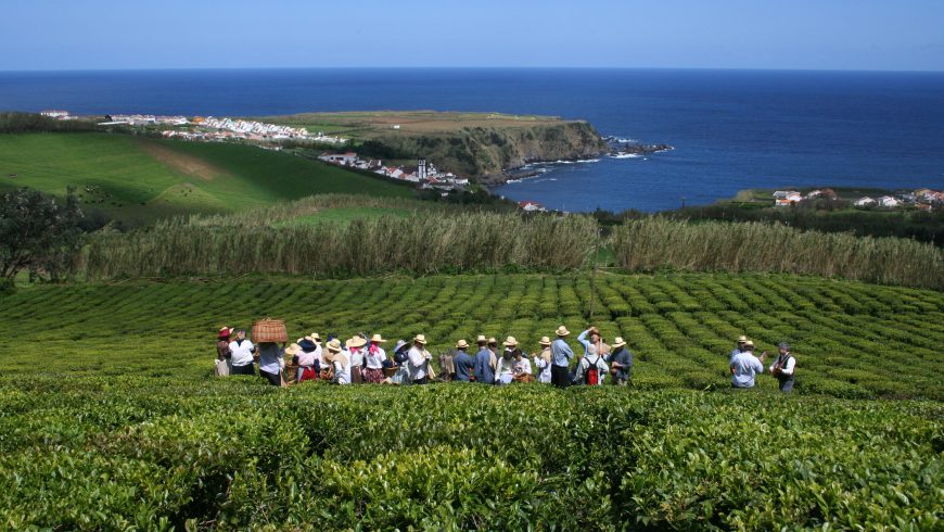 Local food Azores