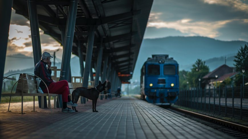 are dogs allowed on trains in italy