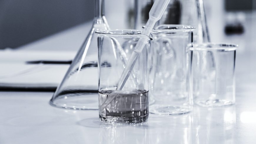 animal testing experiments, leading to animal extinction