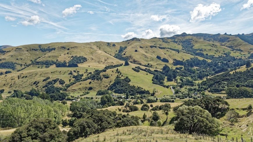New Zeland hills