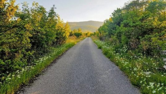 Nature in Dalmatian hinterland
