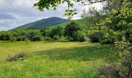 Nature in Dalmatian hinterland
