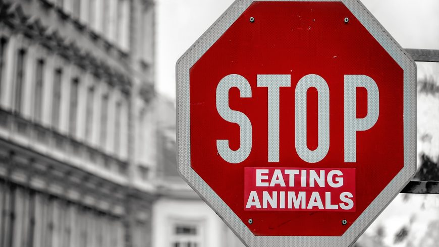 street sign saying that people must stop eating animals, to prevent animal extinction