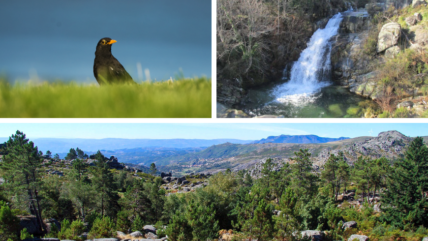 Natural Parks in Portugal. Photos by wikimedia.org, caminhando.pt, visitportoandnorth.travel