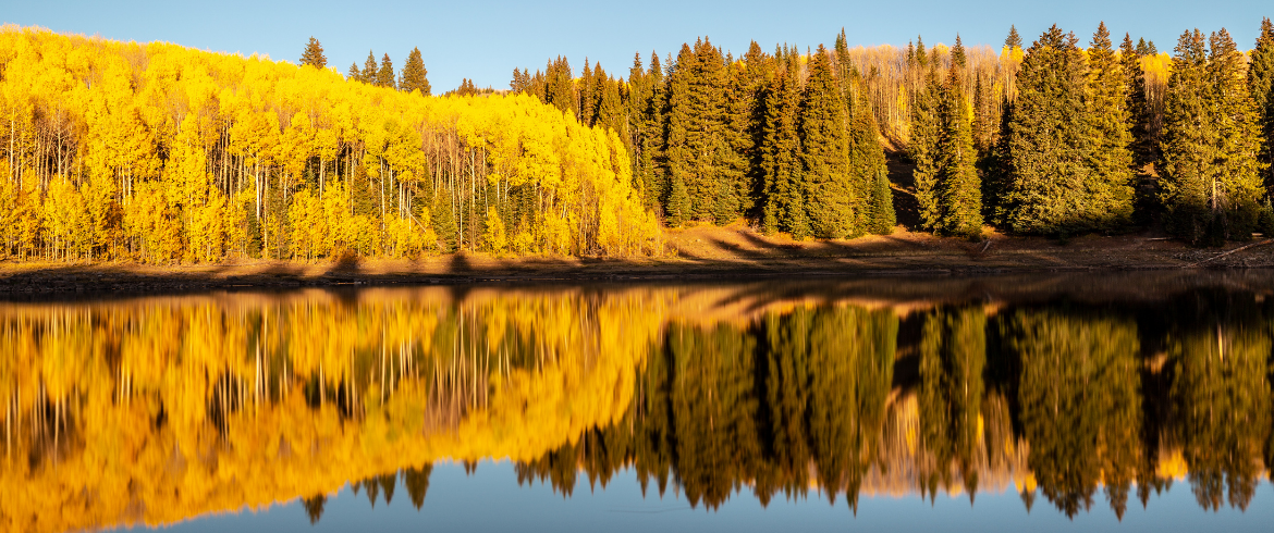 Grand Mesa National Forest: a Beauty - Ecobnb