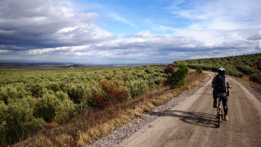 Greenway of oil