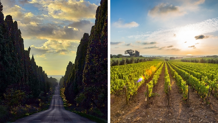 bolgheri views in tuscany
