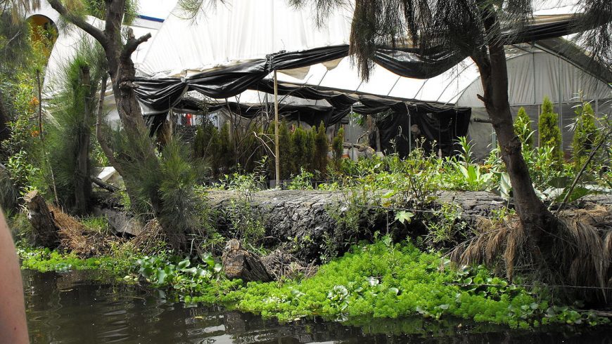 Lagoon of Xochimilco