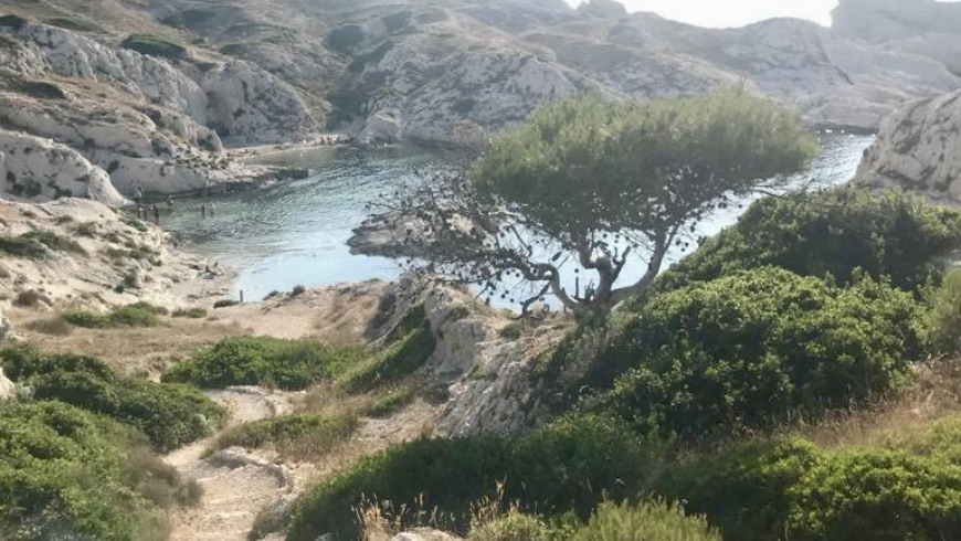 Frioul Islands. Photo by Irene Paolinelli