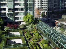Green roof with garden