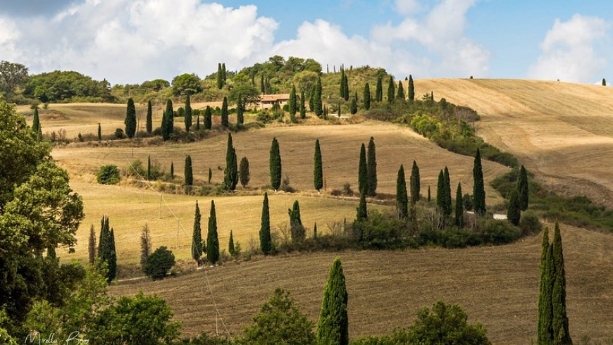 Val d'orcia parks