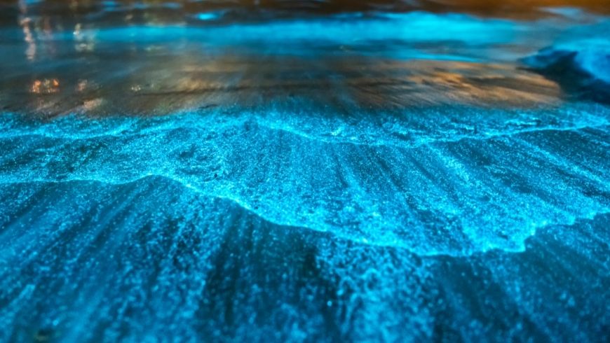 Bright blue water - Bioluminescence