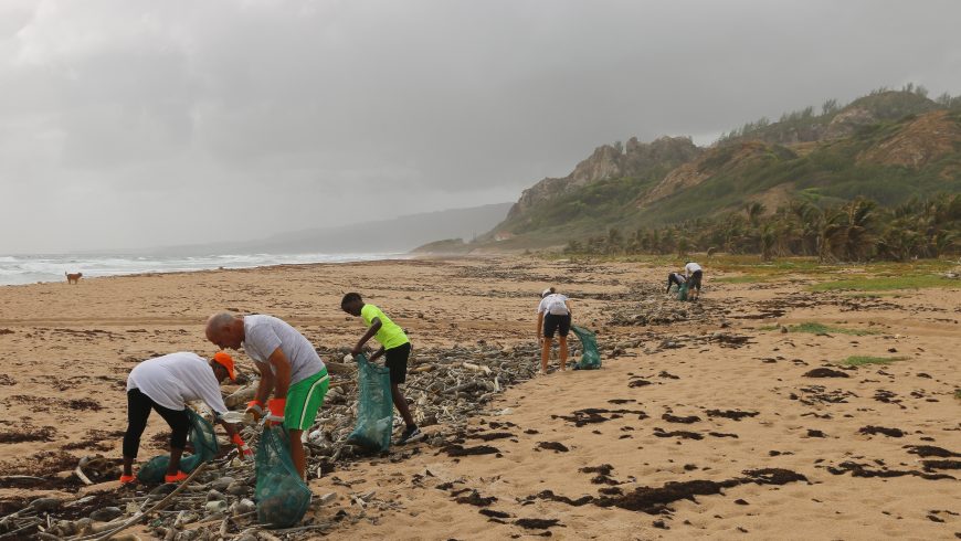 People cleaning a beach